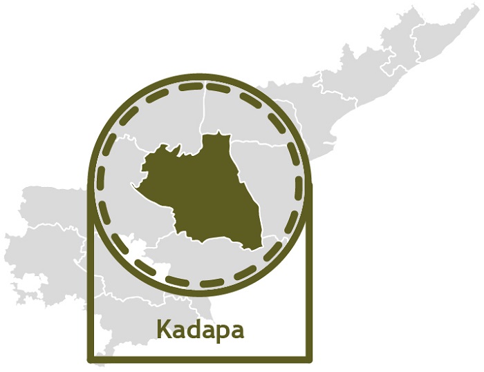 Kadapa-Key-Statistics
