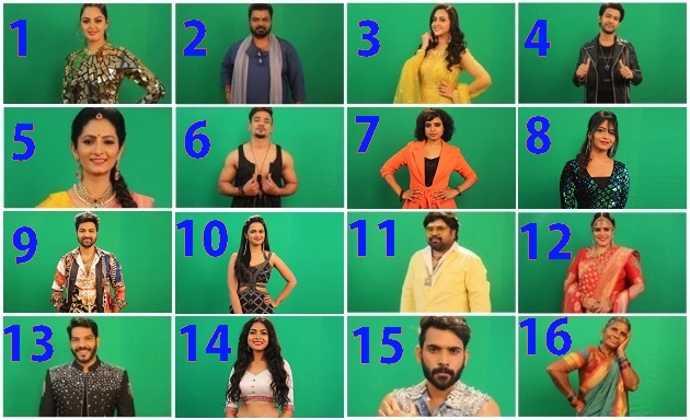 Bigg-Boss-Telugu-Season-IV-16 contestants-lists-16